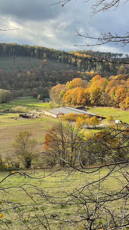 Ferienapartments Reitanlage Schenksolz Schenklengsfeld Exteriör bild